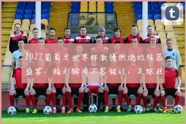 2022葡萄牙世界杯激情燃烧的绿茵盛宴，精彩瞬间不容错过，足球狂欢等你来