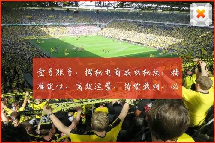 壹号账号，揭秘电商成功秘诀，精准定位，高效运营，持续盈利，必看攻略