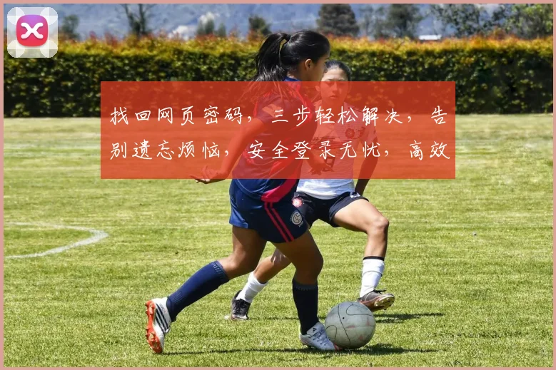 找回网页密码，三步轻松解决，告别遗忘烦恼，安全登录无忧，高效找回攻略分享