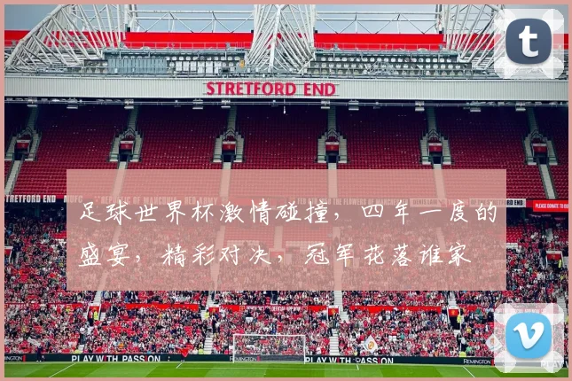 足球世界杯激情碰撞，四年一度的盛宴，精彩对决，冠军花落谁家